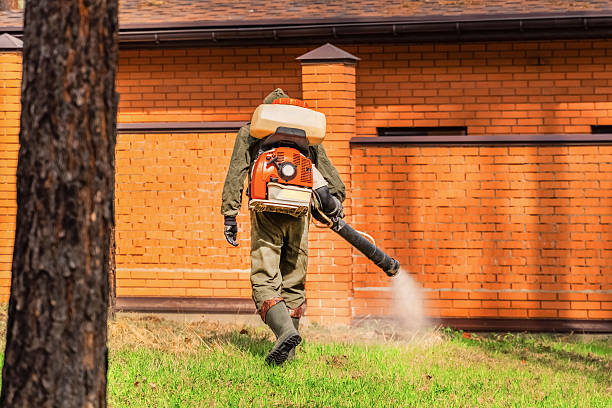 Trusted Fumigation Services service in Calico Rock, AR - Nex Pest Control